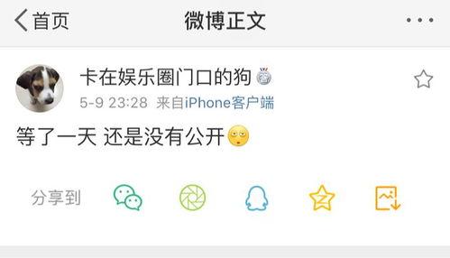 独家爆料 吃瓜是什么意思,“吃瓜”背后的网络文化现象