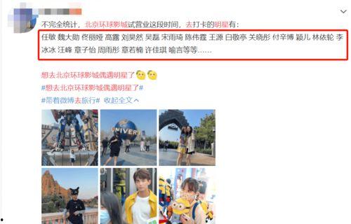 电影下载 网红黑料,电影下载背后的真相与争议